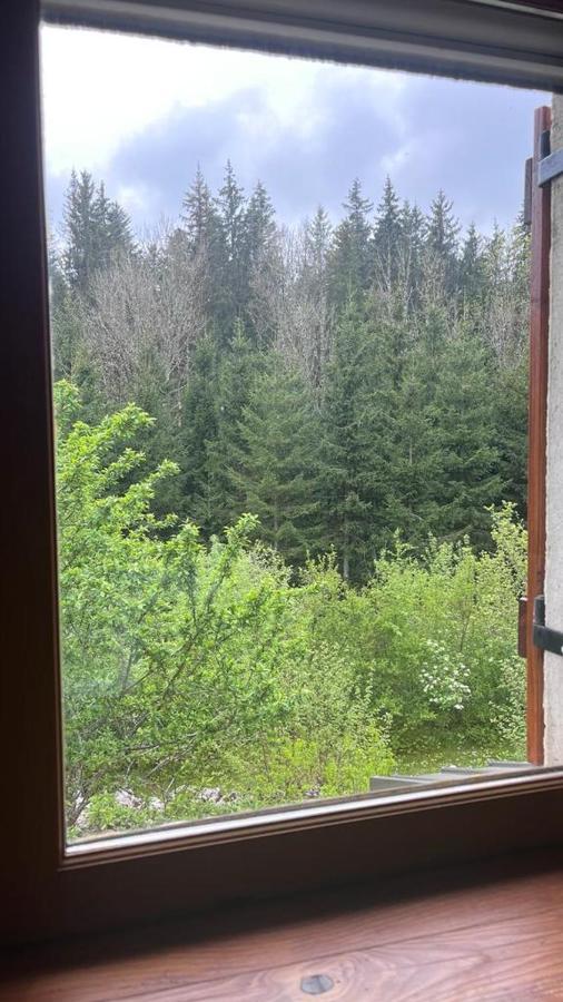 L'Ermitage De Meyriat Villa Brenod Eksteriør billede