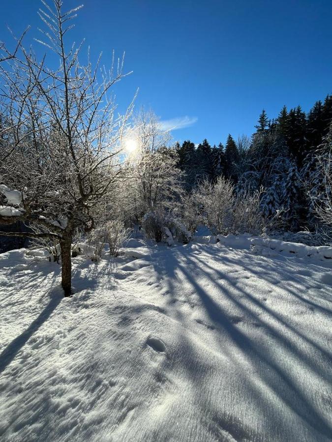 L'Ermitage De Meyriat Villa Brenod Eksteriør billede